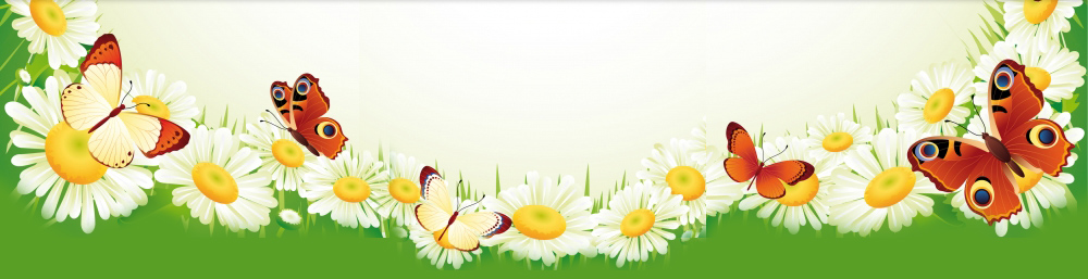 Kopretina Březová, z. s.